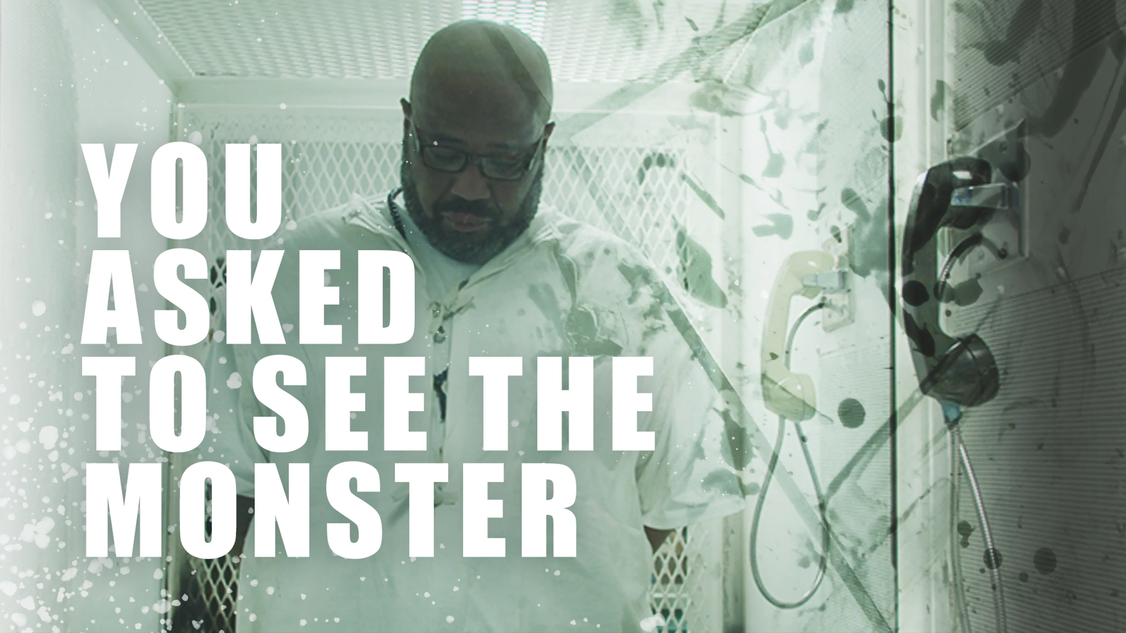 You Asked to See the Monster poster